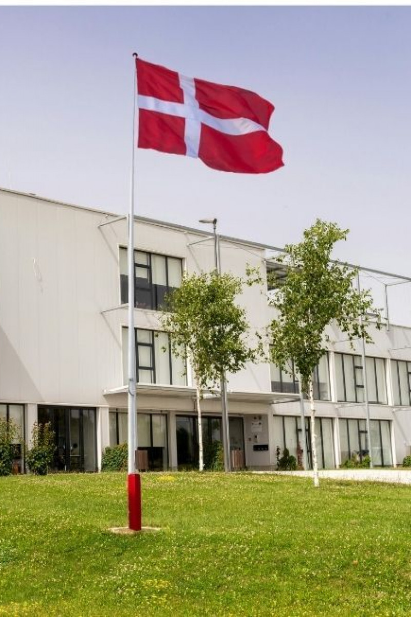 Hvorfor virksomheder bruger logoflag og Dannebrog | Uptimast