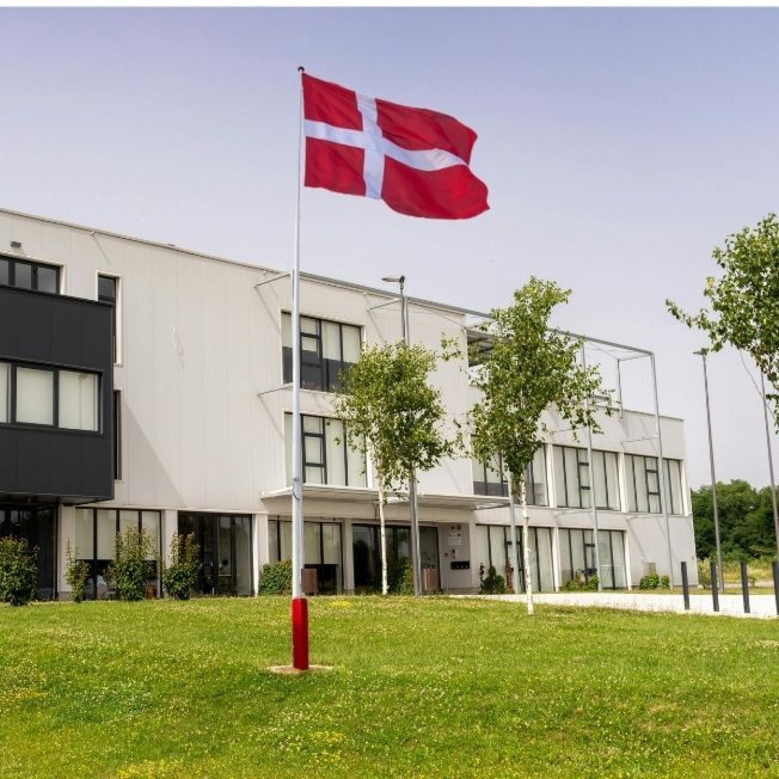 Hvorfor virksomheder bruger logoflag og Dannebrog | Uptimast