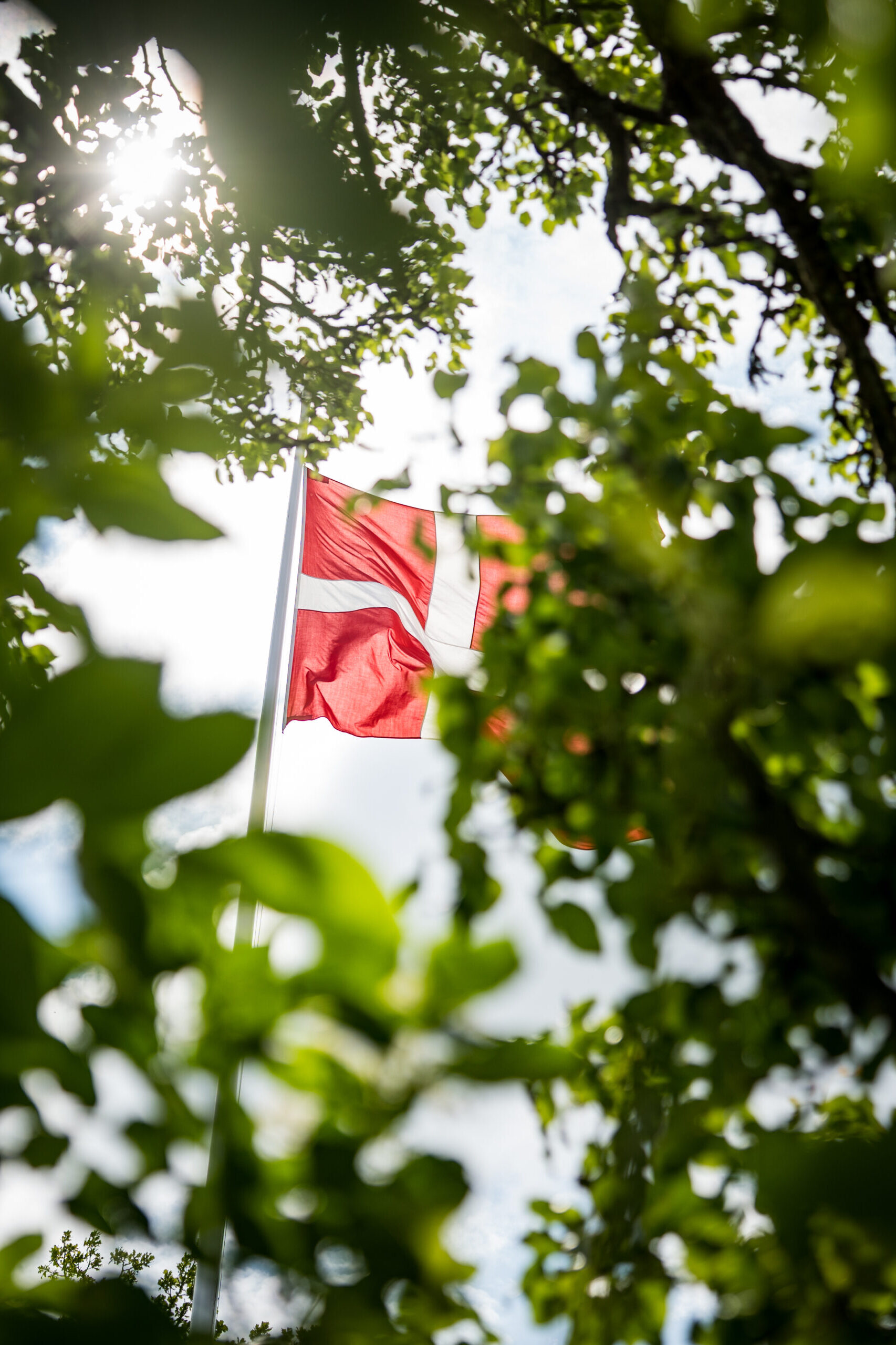 Flagstang - Grøn omstilling