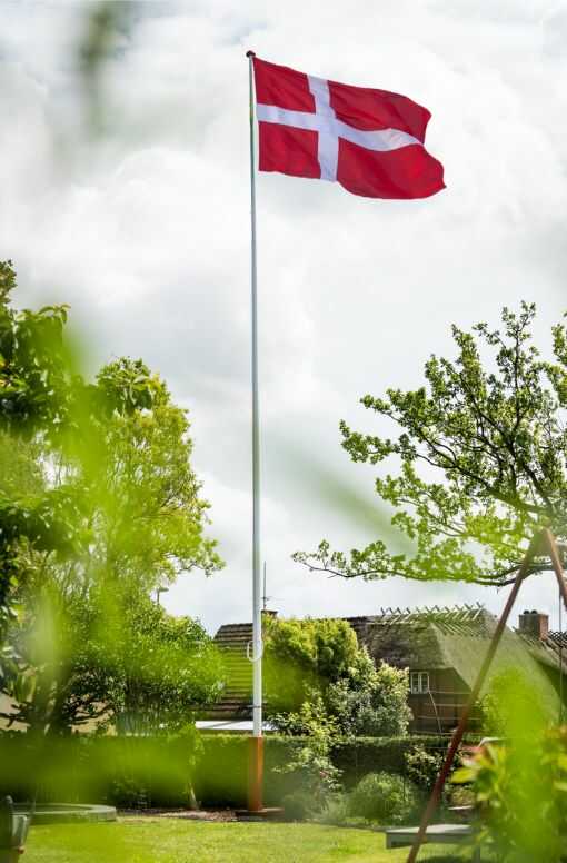 Flagstang Flag Dannebrog Uptimast Plejehjem